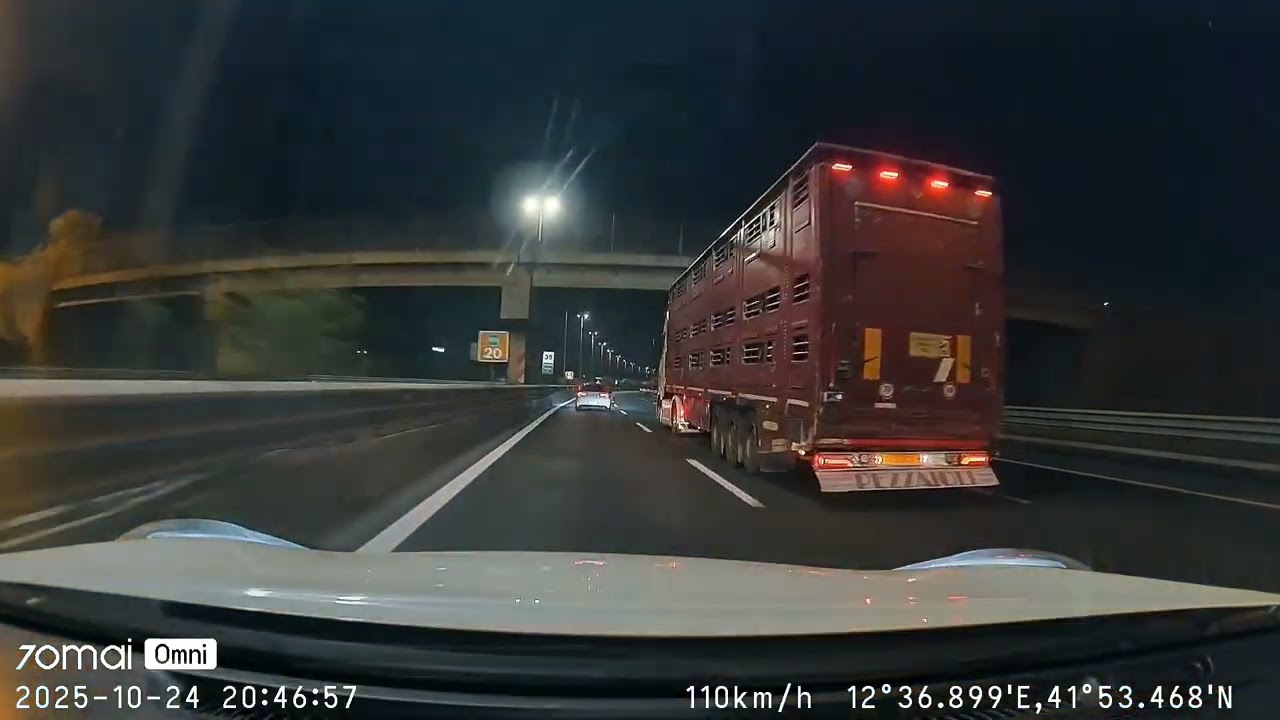Bad Drivers of Lazio #23