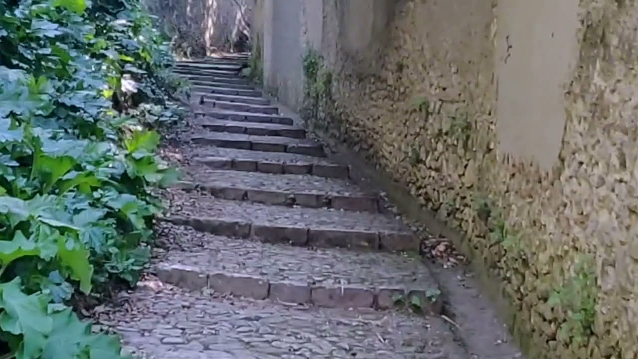Via Julia Augusta - Cimiez