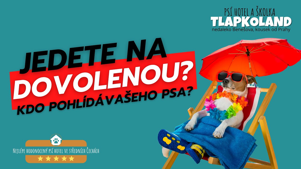Rodinný psí hotel s nadstandardní péčí | 30 min od Prahy | Bez kotců + TAXI | TLAPKOLAND Skalice