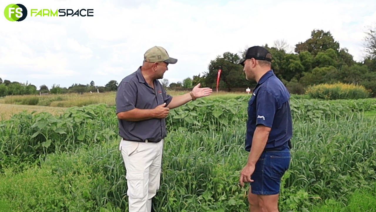 Willem Nel van Agricol gesels oor winter aanplantings onder besproeiing.