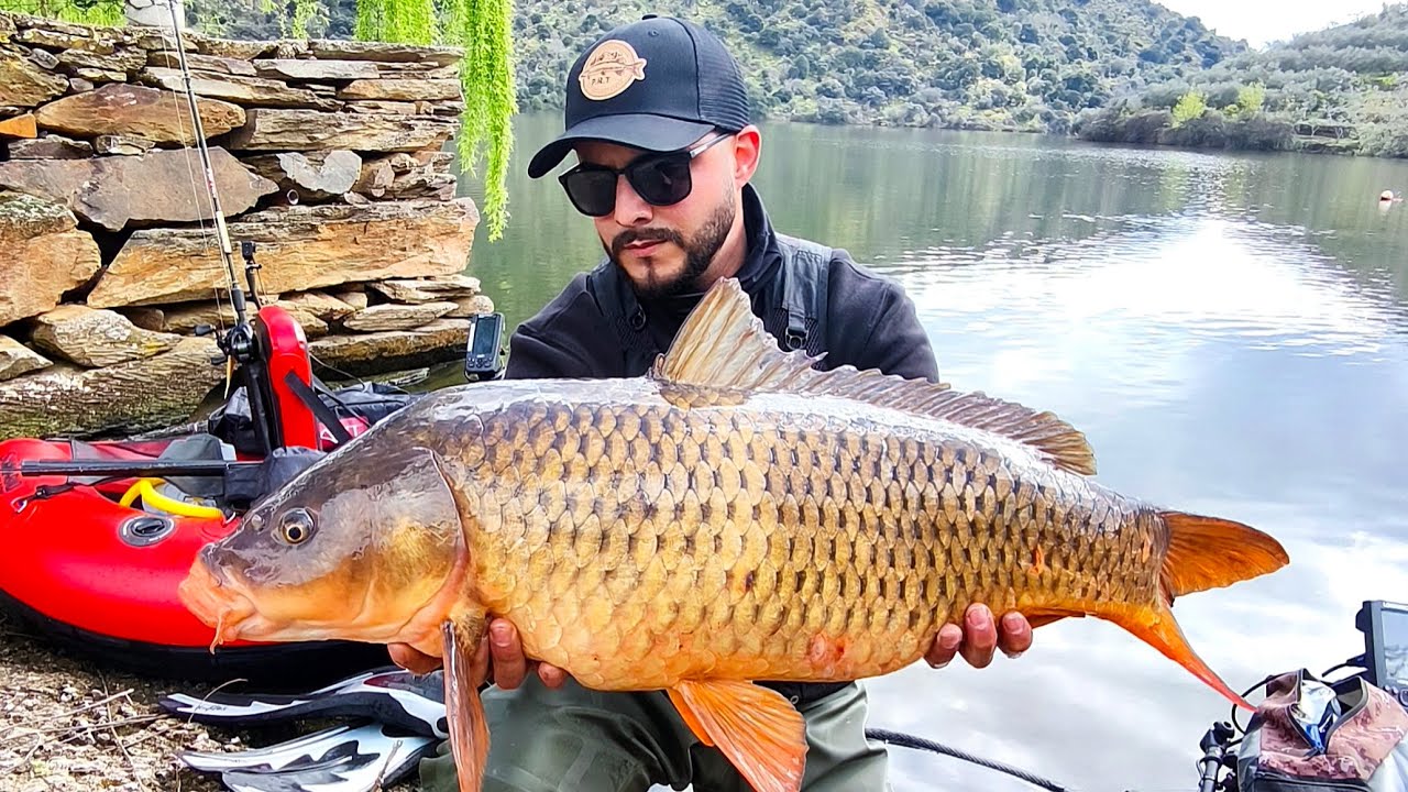 Carpa XXL - 💥uma grande luta💥 - Savage Gear- Mayfly