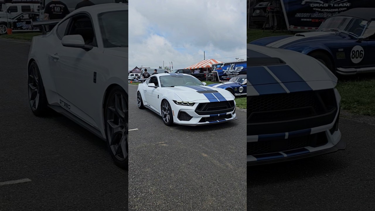 𝟐𝟎𝟐𝟓 𝐒𝐇𝐄𝐋𝐁𝐘 𝐆𝐓𝟑𝟓𝟎 #shelby #shelbygt350 #shelbygt500 #mustang #stang #carlislefordnationals