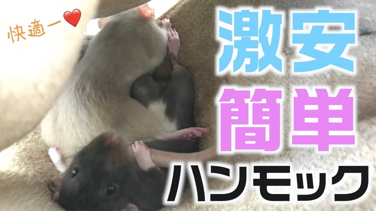 【小動物】超！簡単なハンモックの作り方【３００円】【縫わない】
