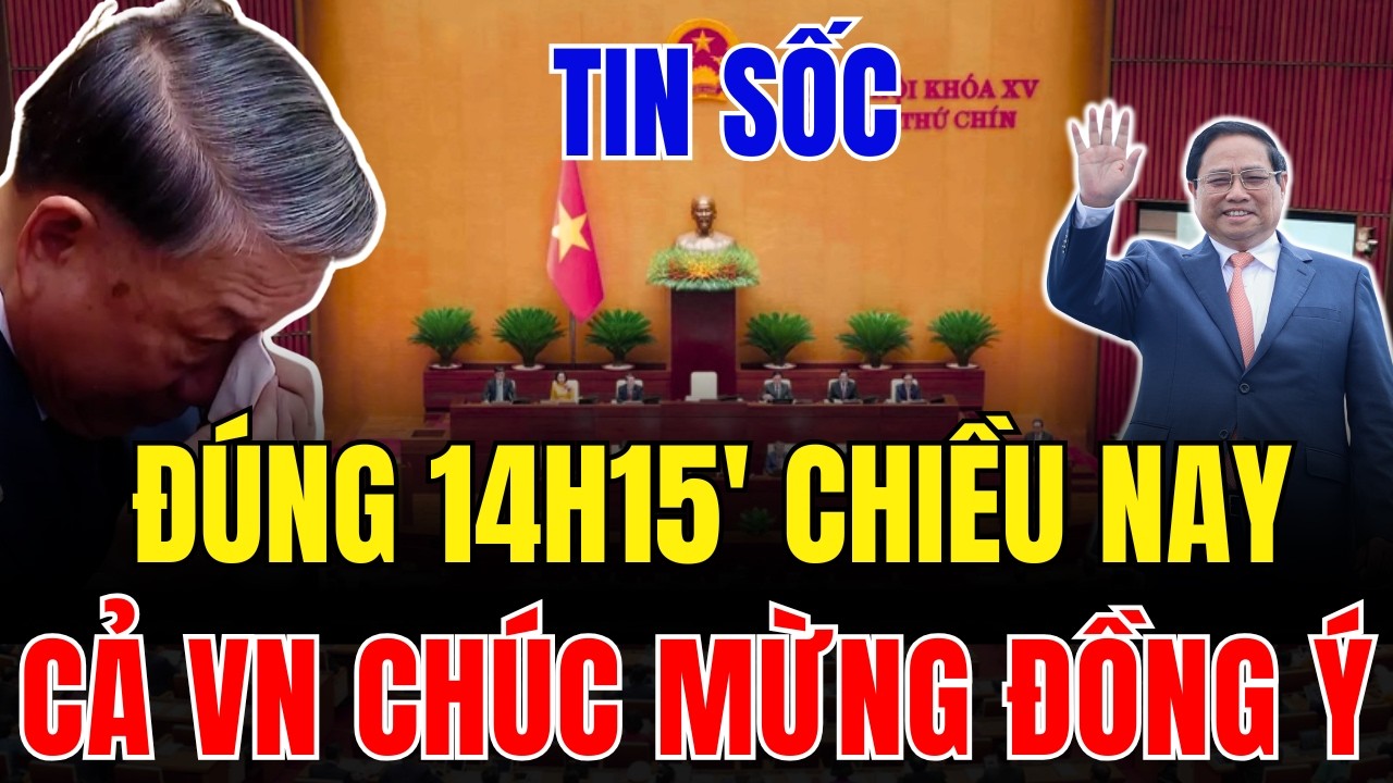 Tin tức việt nam thời sự mới nhất ngày 24/2/2026 ✈ Tin Nóng Chính Trị Việt Nam và Thế Giới
