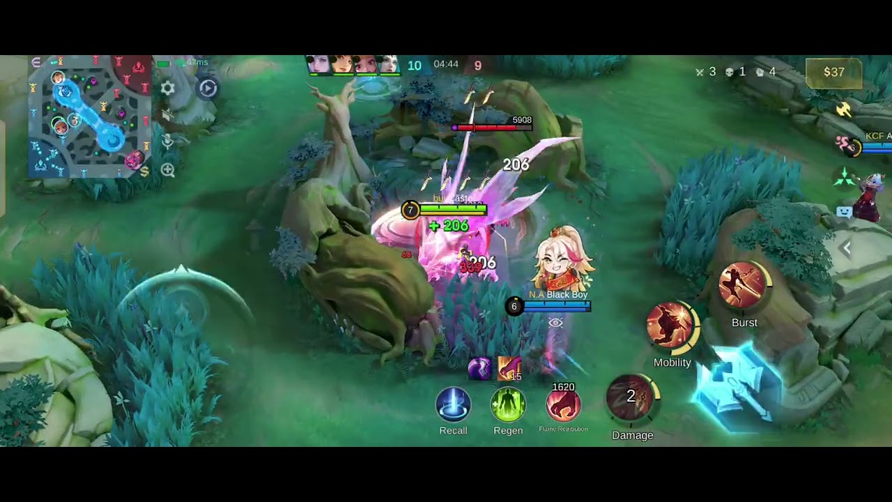 HAYABYSA SKILL