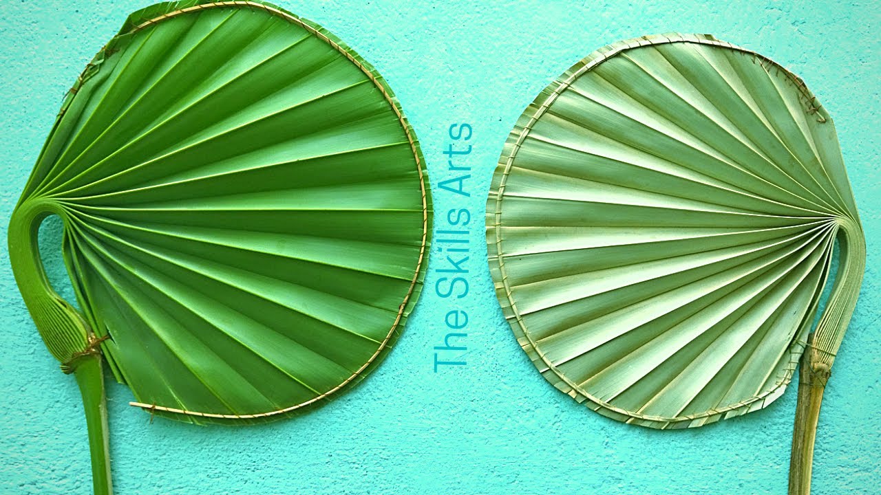 Palm Leaves  Summer Season Hand Fan|पंखा| बीजना | झरोखा|பனை இலைகள் விசிறி