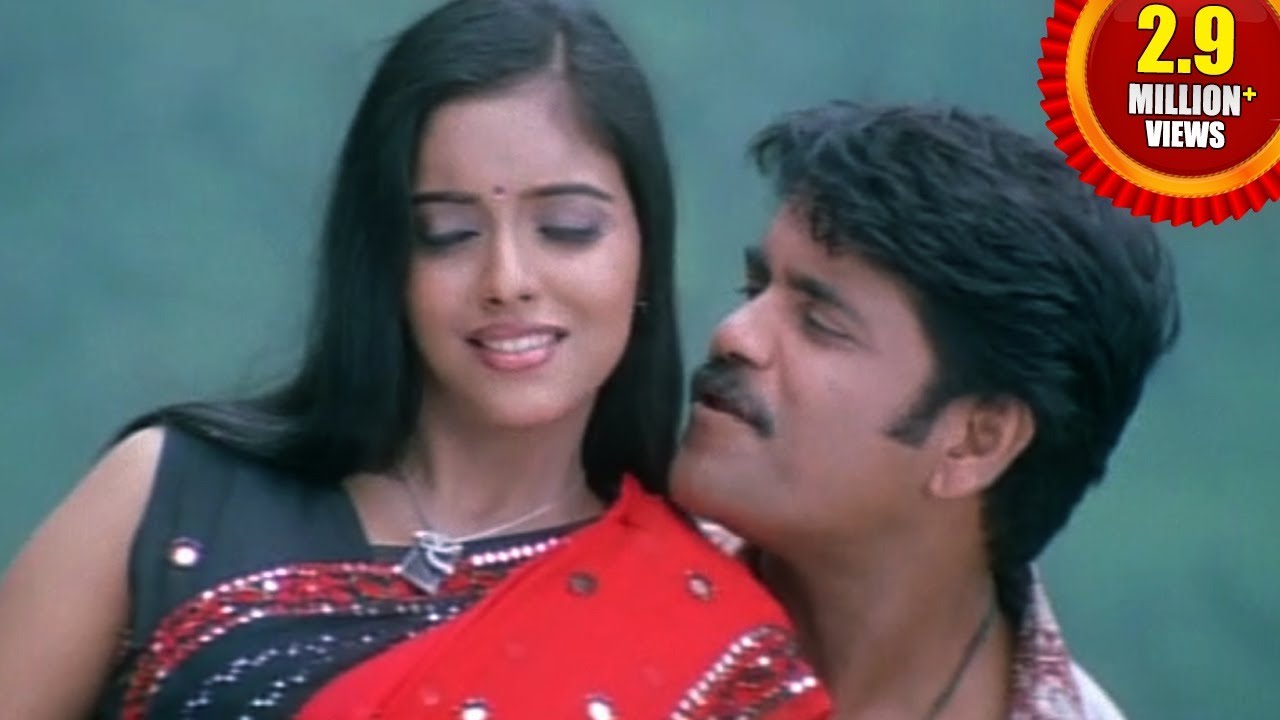 Shivamani Telugu Movie || Sun Sun Video Song || Nagarjuna, Asin