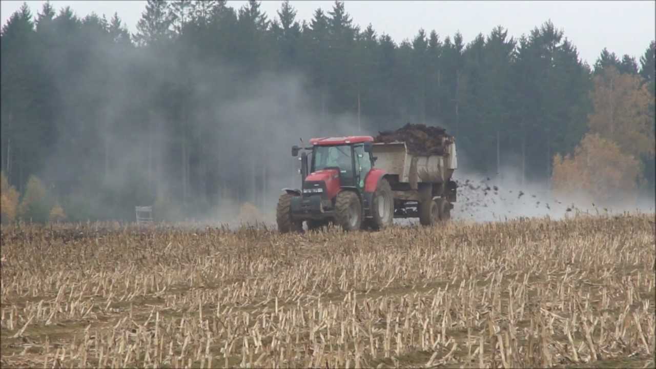 Autumn work - Podzimn&iacute; pr&aacute;ce 2012