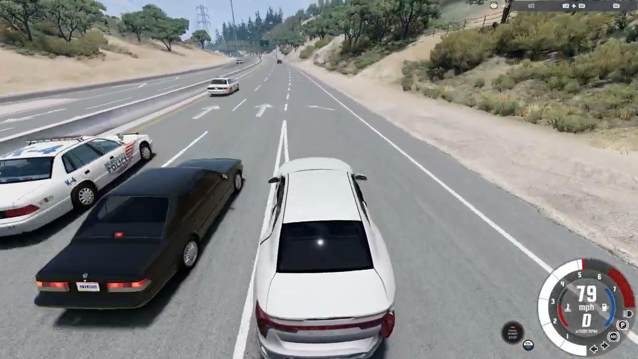 police chase in beamNG.drive