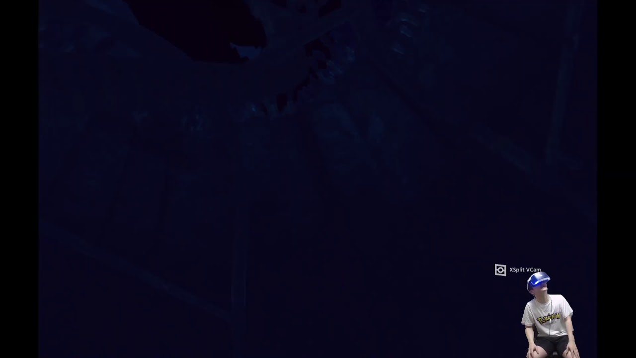 第一回VRゲーム部‼