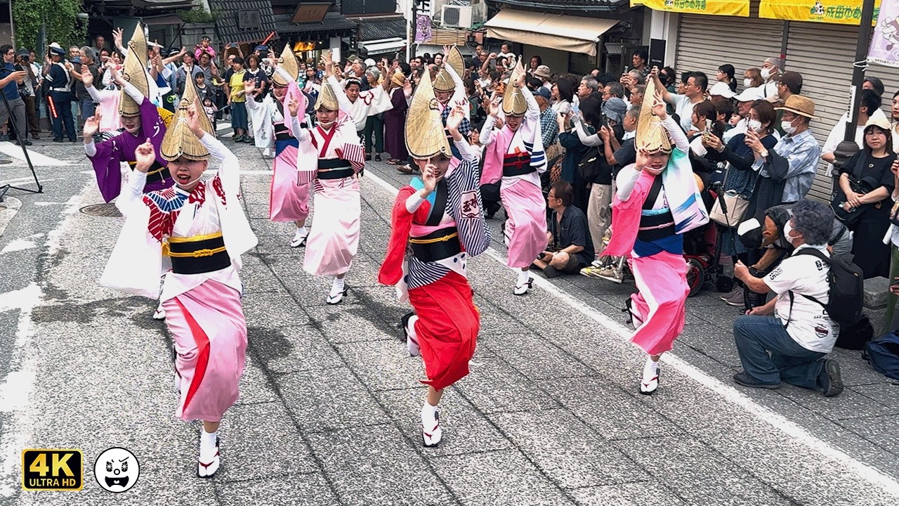 【 成田伝統芸能まつり 】阿波おどり： 阿波おどり振興協会　秋の陣：伝統芸能パレード