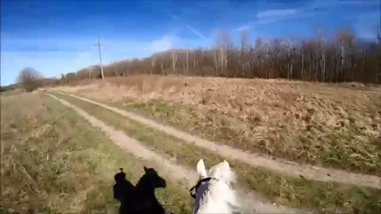 Halliki and her Horse named Rio
