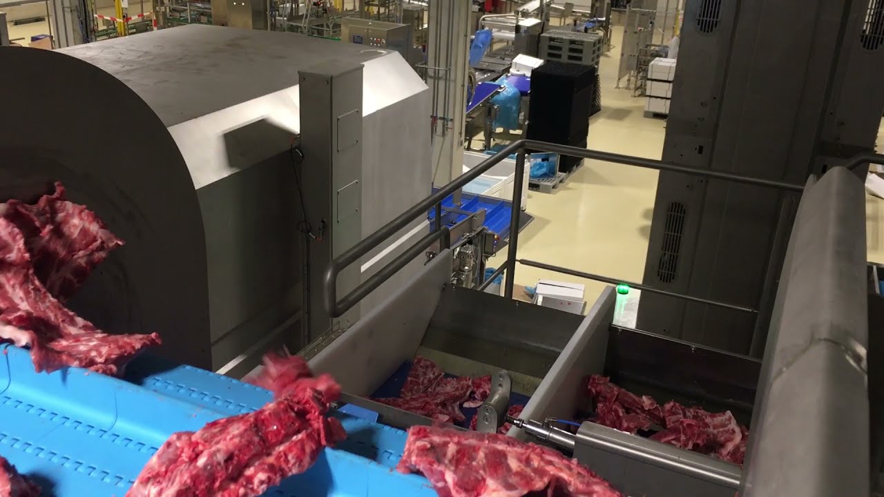 Cabinplant Multibatcher for Large Meat Portioning | Automation in the Food Industry