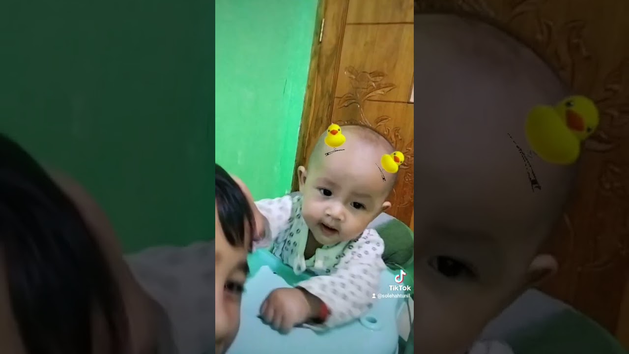 Geemes sama rambut