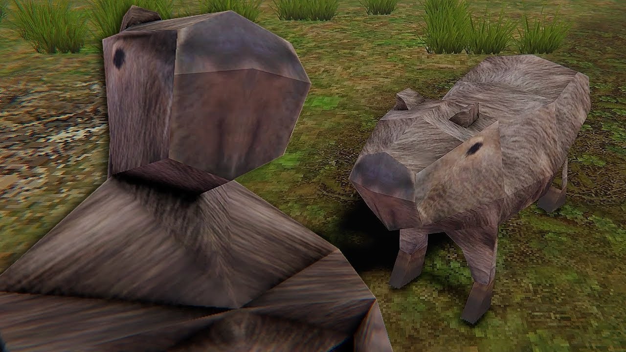 [CUIDADO] se você VER esta CAPIVARA dê COMIDA a ela... | KACIPBARA (2 FINAIS)