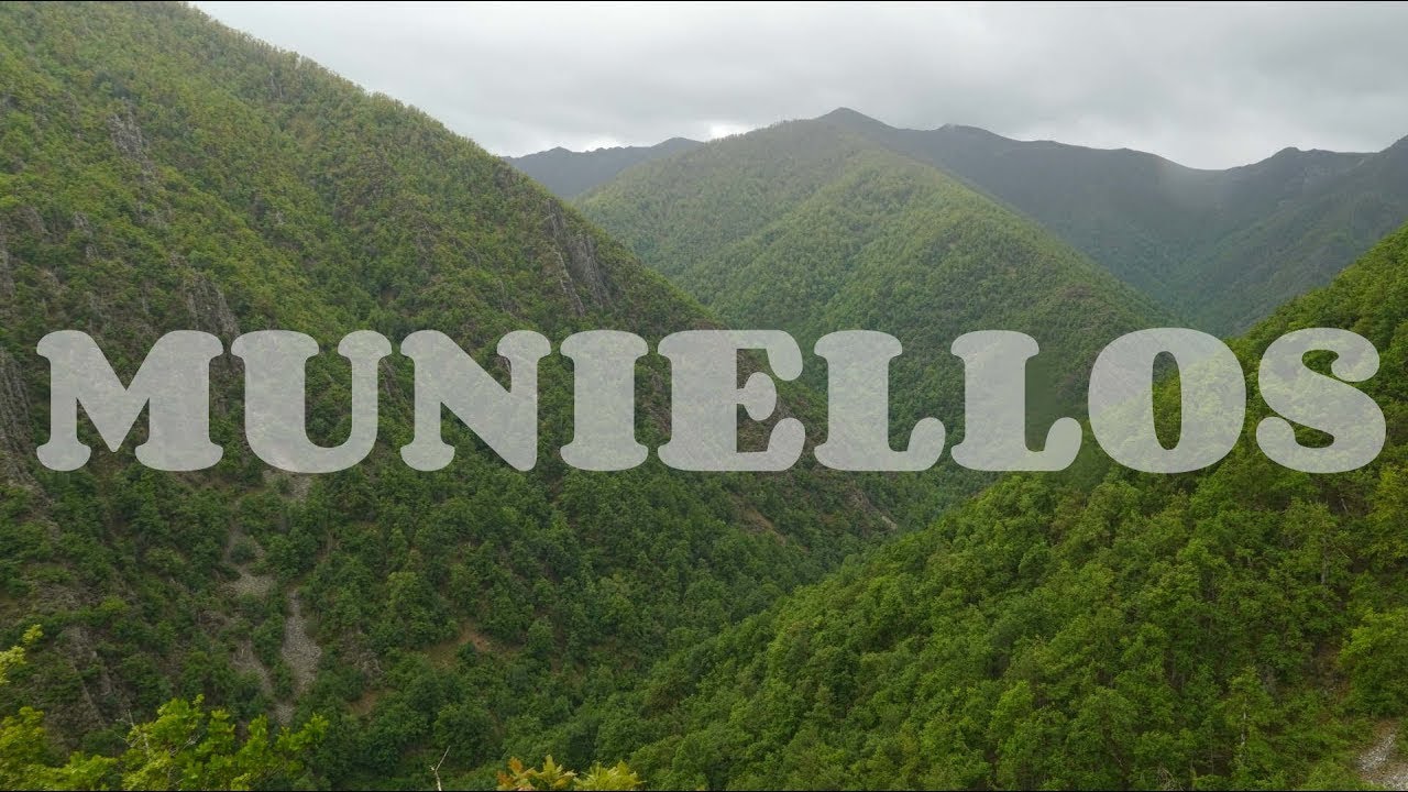 Hiking in the Muniellos Nature Reserve, Asturias , Spain  | Hiking Spain #hiking #shirinyoku