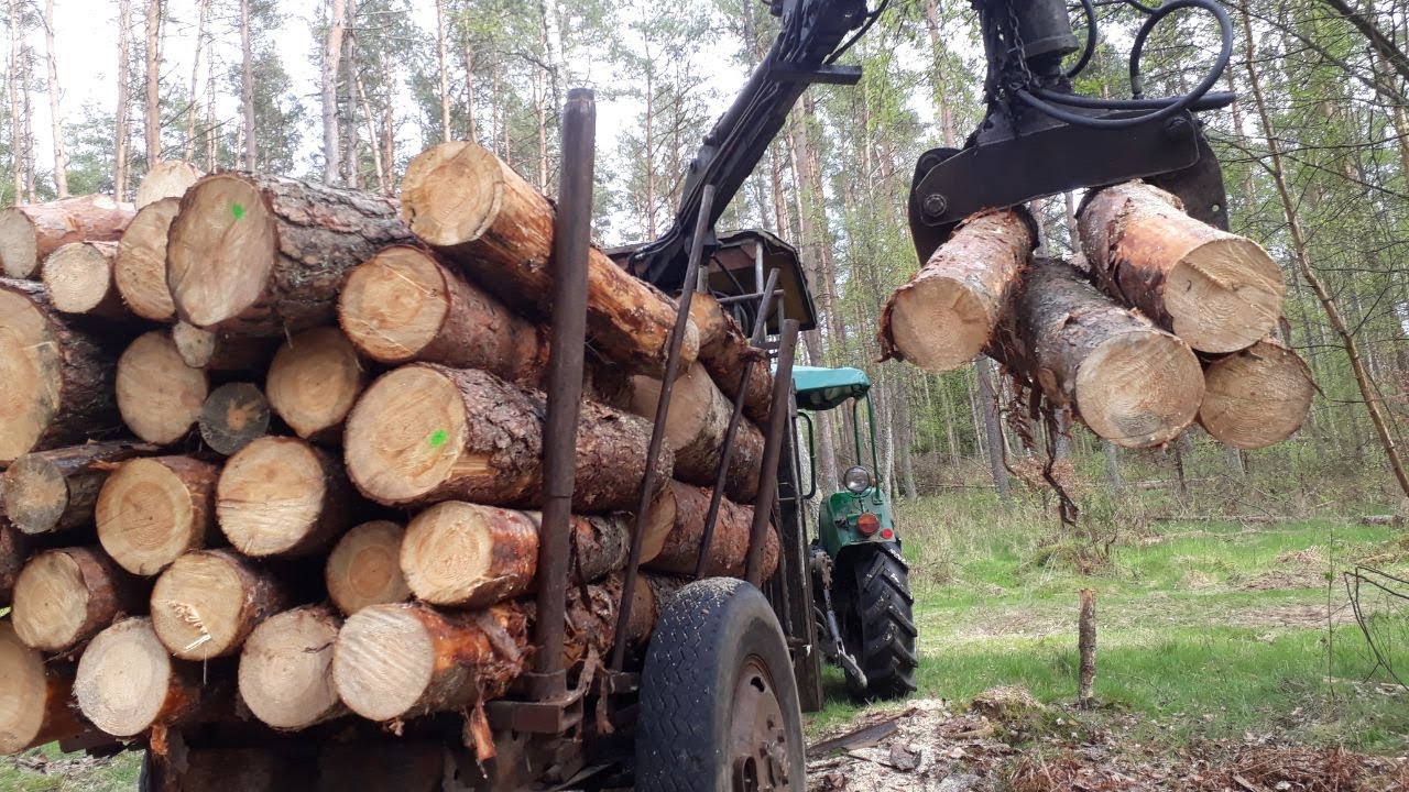 Załadunek i wożenie drewna, zrywka Ciapek C-328. Własna konstrukcja HDS wózek w lesie