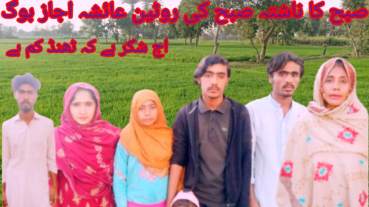 اج ہمارا سالن بلی کھا گئی اس لیے اور بنانا پڑا عائشہ اجاز وی لاگ 