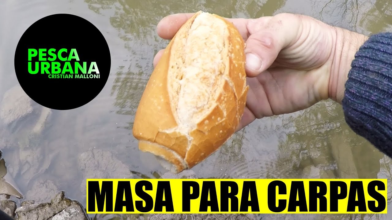 MIRA!!! COMO HACER MASA PARA CARPA, CEBO, CARPFISHING