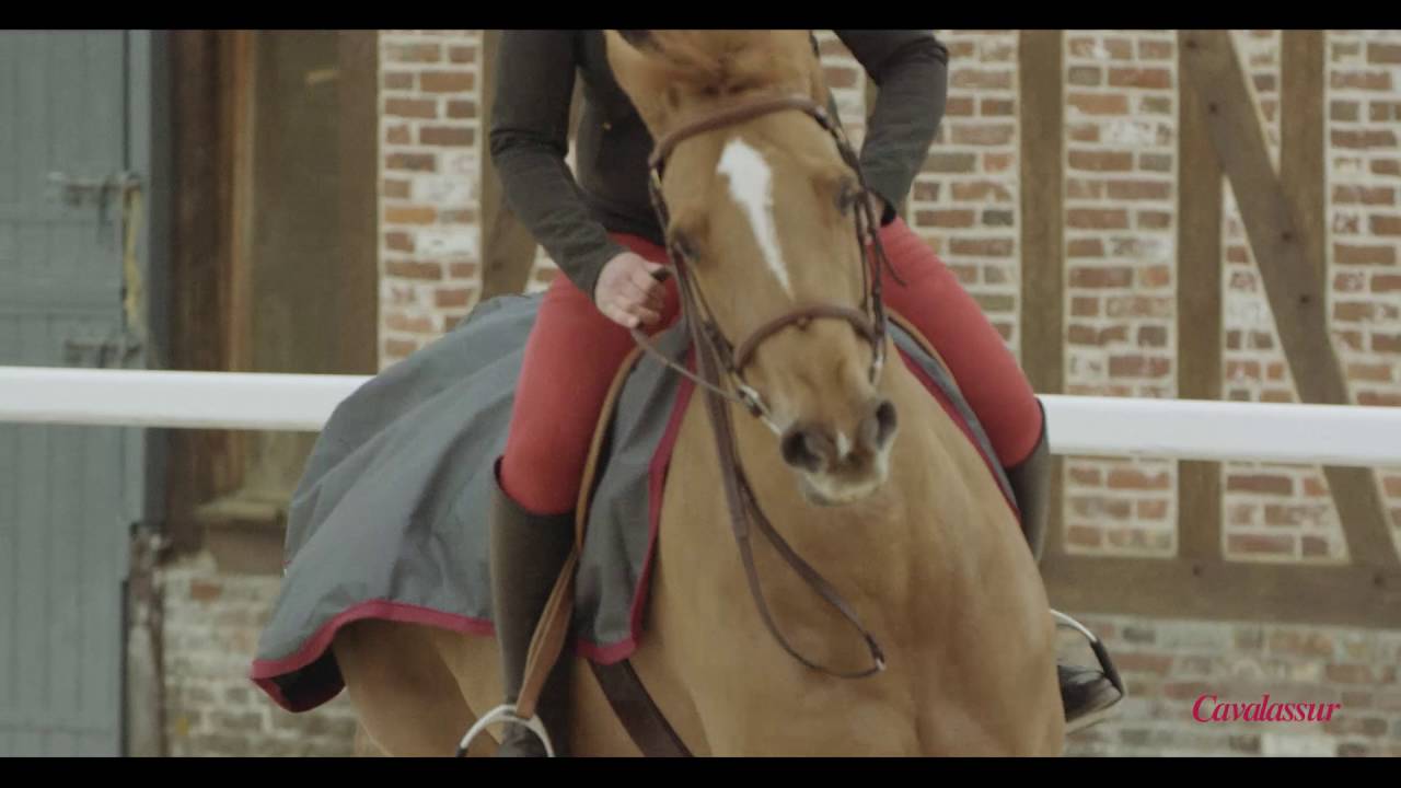 Les conseils de Cavalassur: Bien détendre son cheval en concours