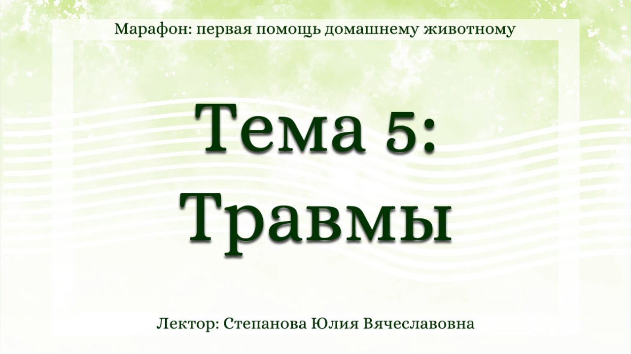 Первая помощь домашнему животному. Тема 5: Травмы