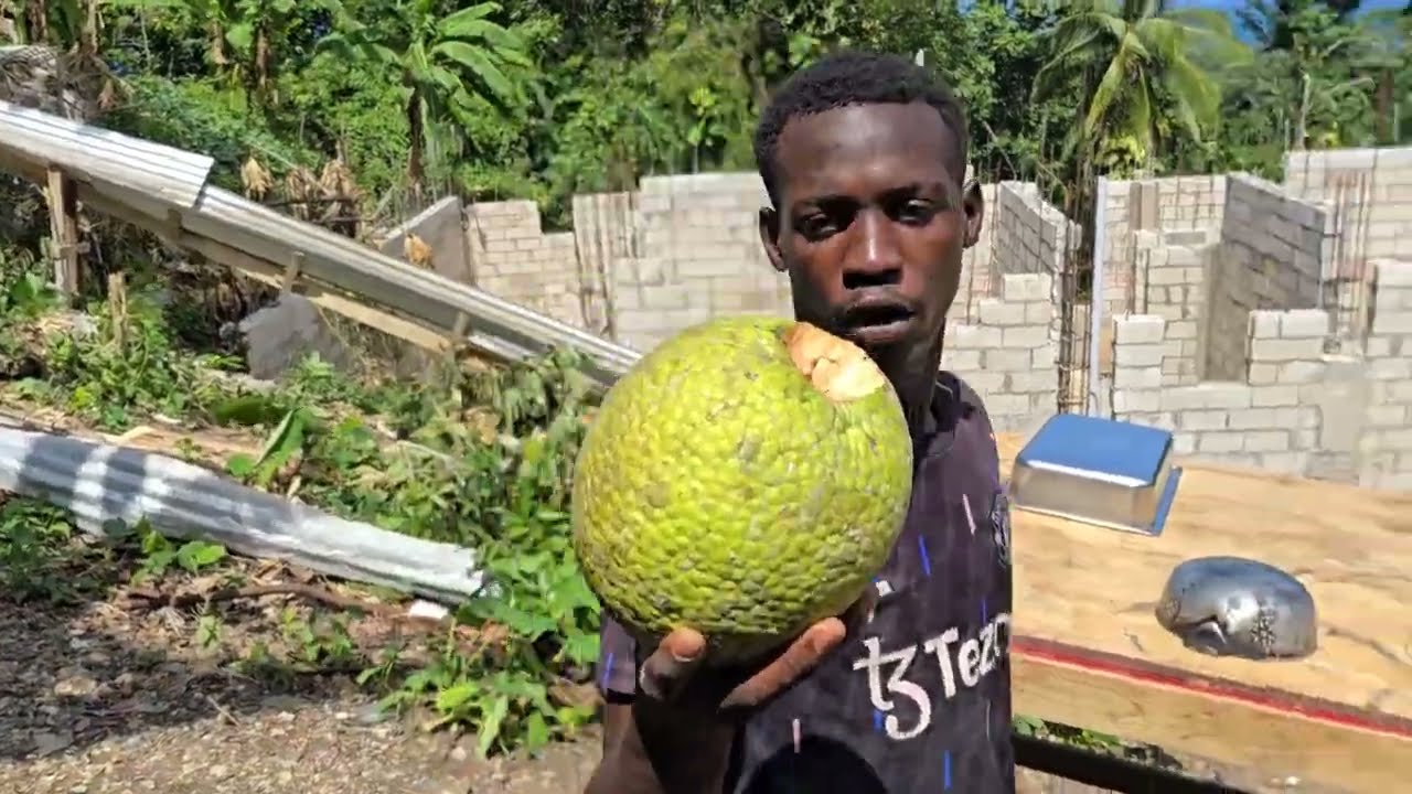 Roast breadfruit and ackee & salt fish on project x while working and cutting down some trees 🌳 