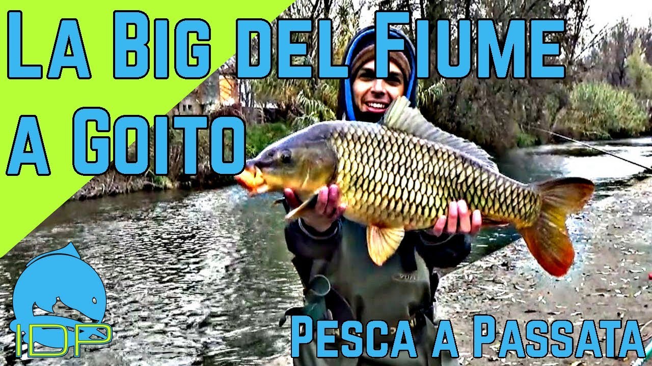 LA BIG DI GOITO A PASSATA! - I.D.P. #180 - FIUME MINCIO 4-4