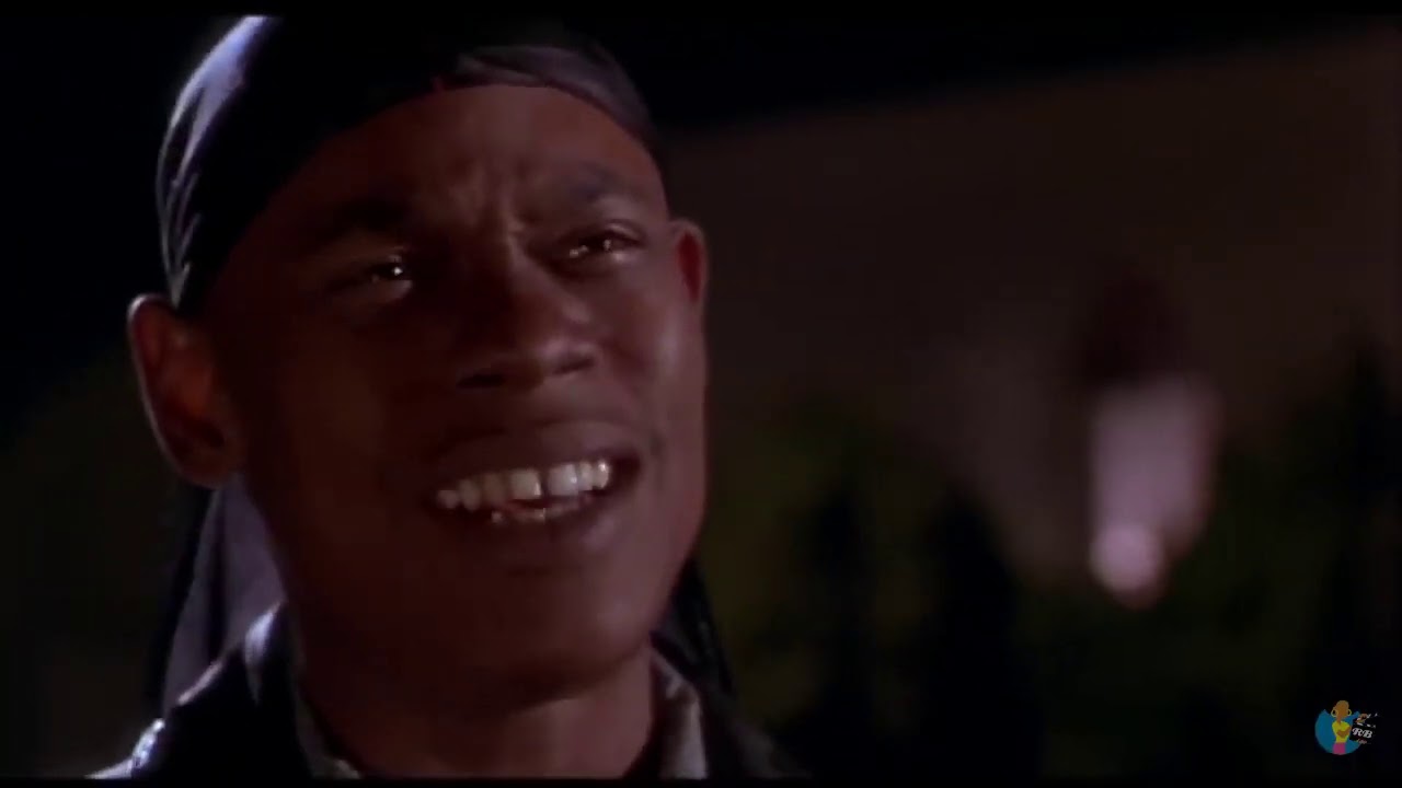 Panther 1995   A Mario Van Peebles Film  WIDESCREEN HD