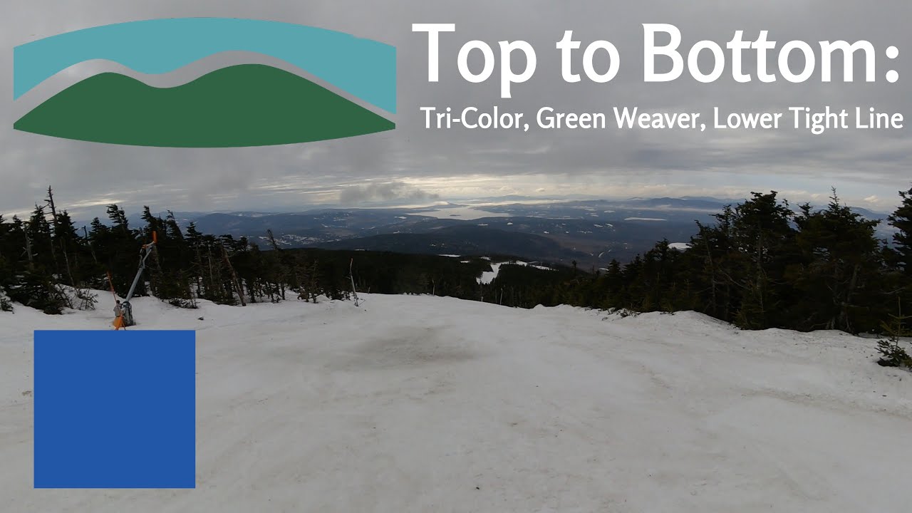 Saddleback - Top to Bottom: Tri-Color, Green Weaver, Lower Tightline