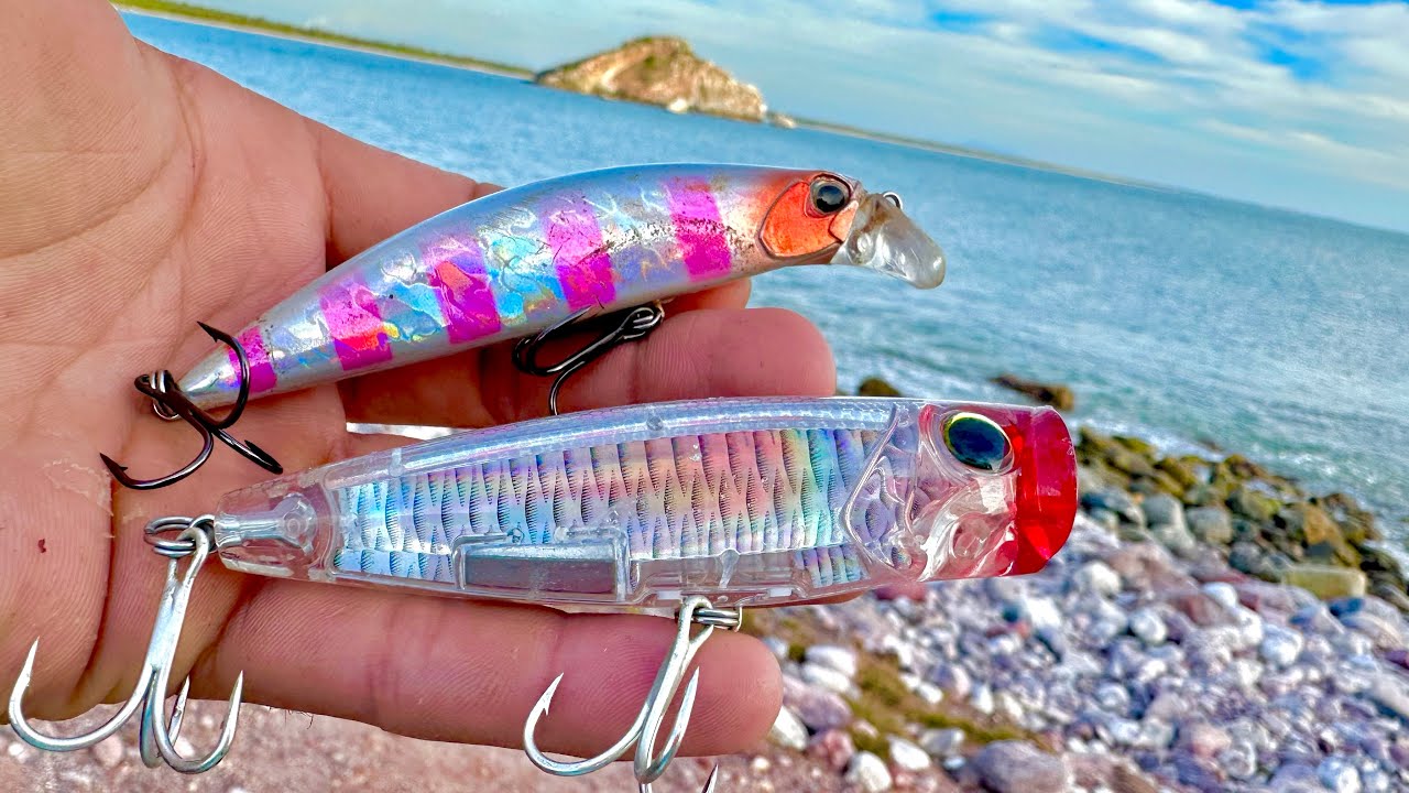 PESCA de ORILLA con SEÑUELOS POPPER y MINNOW || REGALÓ SEÑUELOS a NIÑOS PESCADORES.
