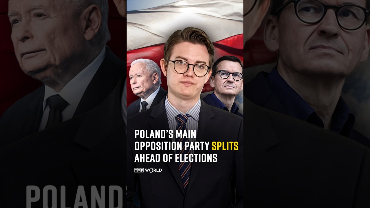 #Poland&rsquo;s main #opposition party splits ahead of #elections