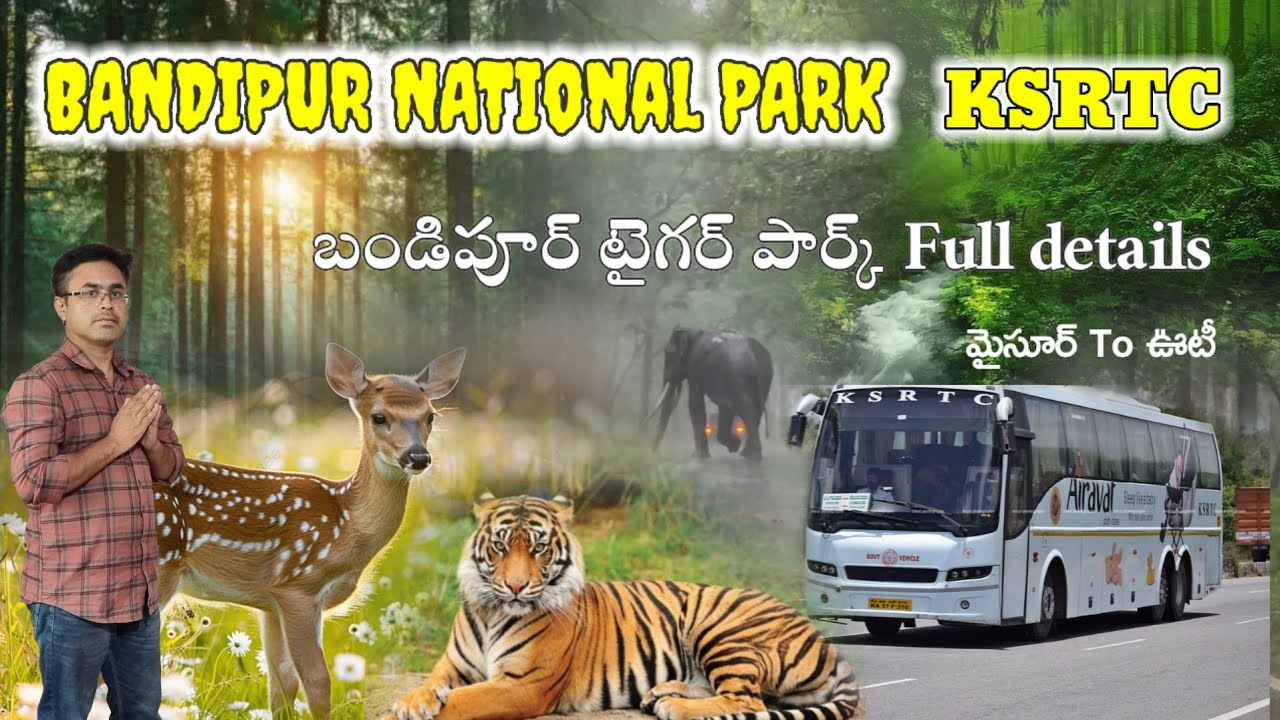 Bandipur National Park Tour Plan || బందీపూర్ రిజర్వ్ ఫారెస్ట్ || Mysore,Ooty Road జర్నీ || Karnataka