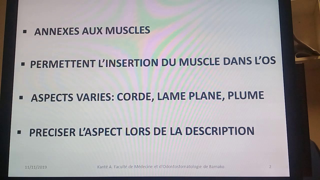 INITIATION AU VOCABULAIRE ANATOMIQUE: TENDONS