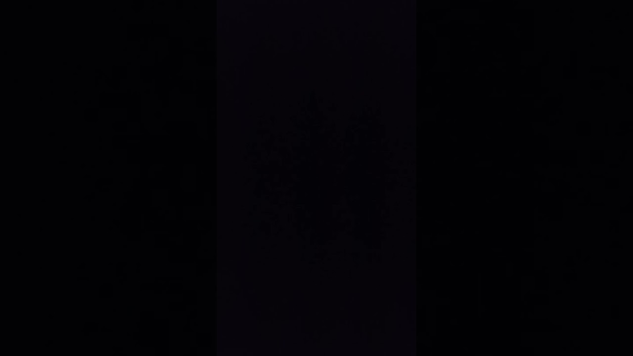 بكاء المصلين اثناء صلاة التراويح في مسجد النعيم البويرة بصوت القارئ حمزة تكارلي حفظه الله تلاوة عطرة