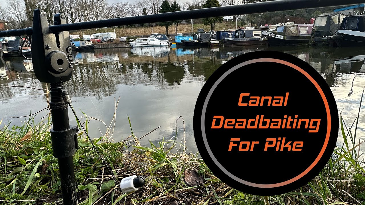 Canal Deadbaiting For Pike