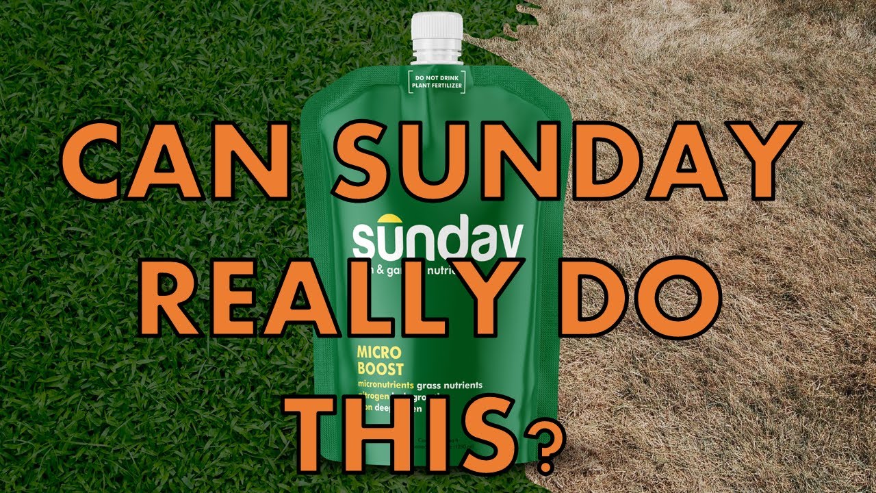 Sunday Lawn Care Review and Use After 1 Year | Do you NEED This Liquid Fertilizer?