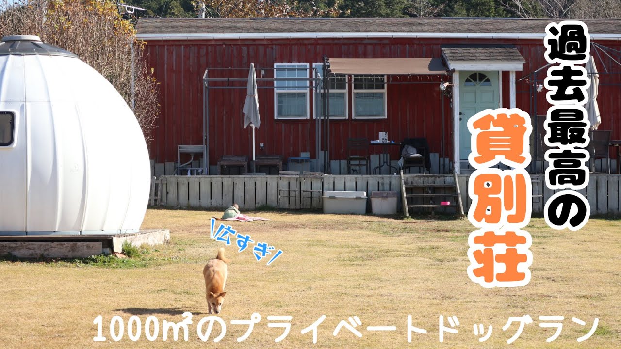 過去一広すぎるドッグラン付き貸別荘が最高すぎた!!!【ザ・サマーハウスぃ〜ず】