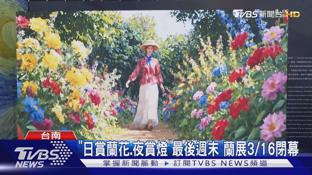 「日賞蘭花、夜賞燈」最後黃金週末 國際蘭展3/16閉幕｜TVBS新聞 @TVBSNEWS01