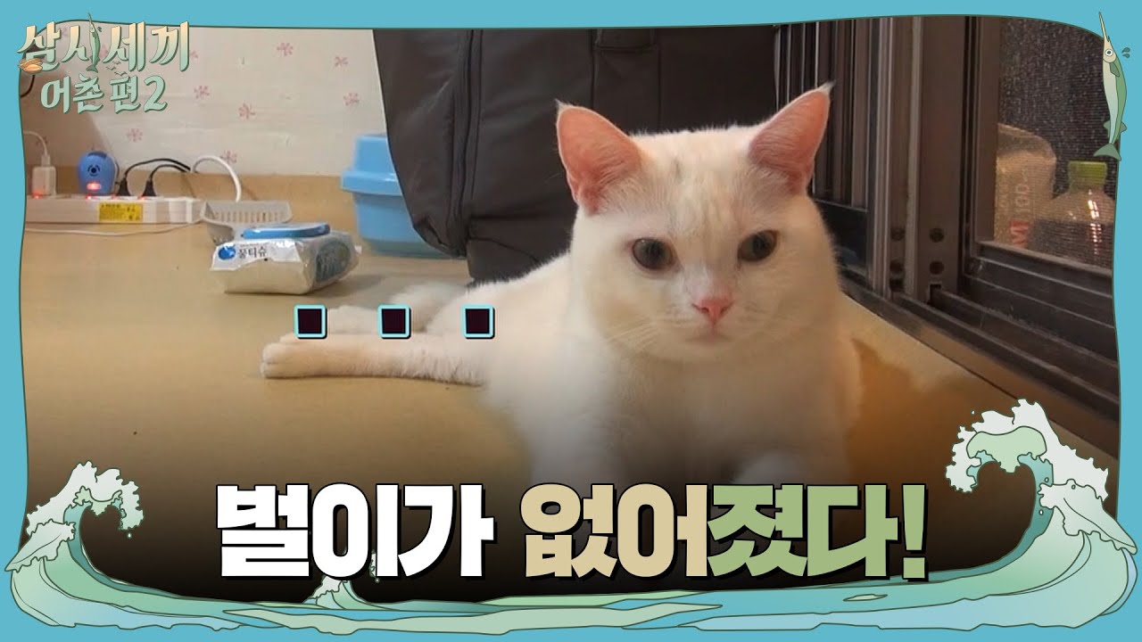 벌이가 없어졌다! 시크 매력 폭발! | 삼시세끼 어촌편 2 (3 meals a day-fishing trip 2) EP.3