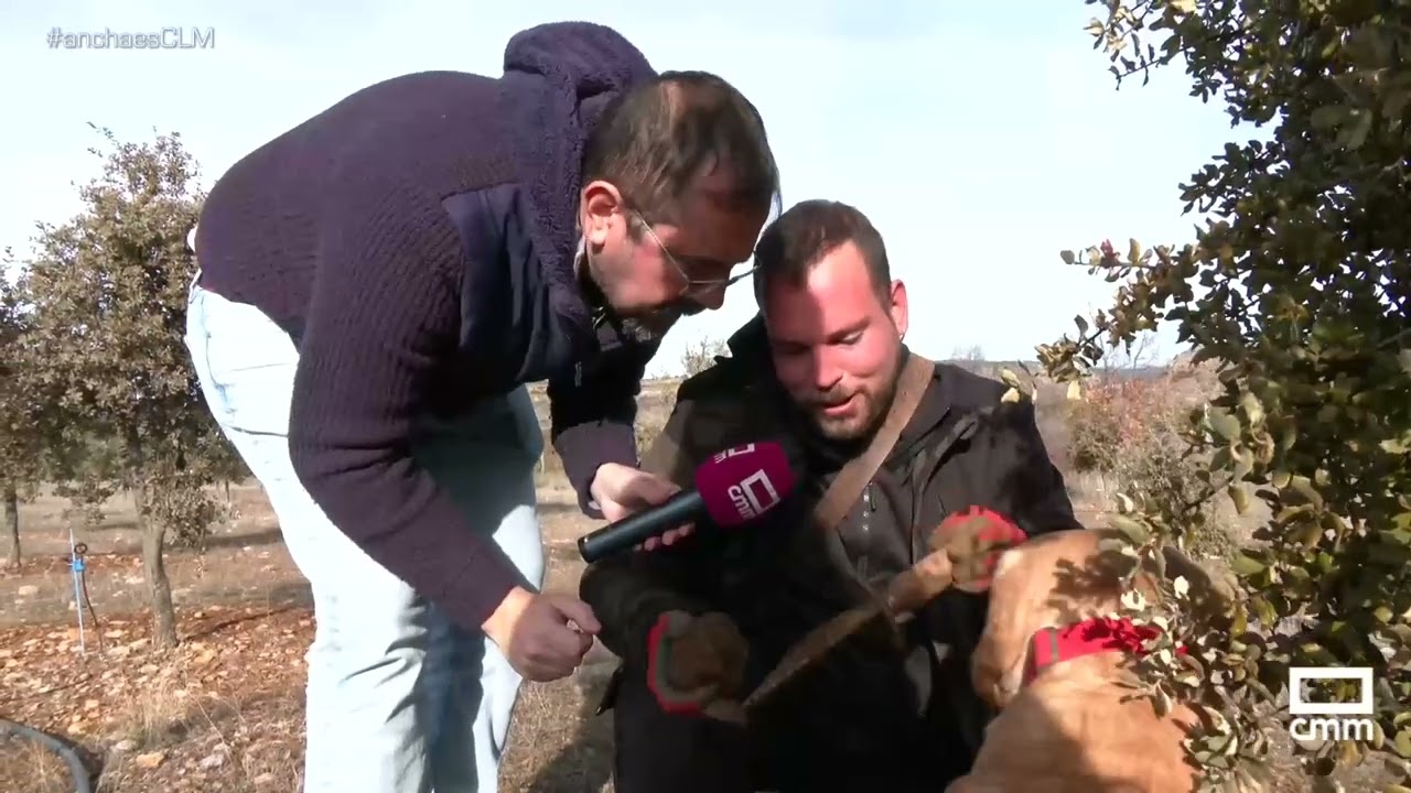 Nos vamos a recoger trufa a Poveda de la Sierra