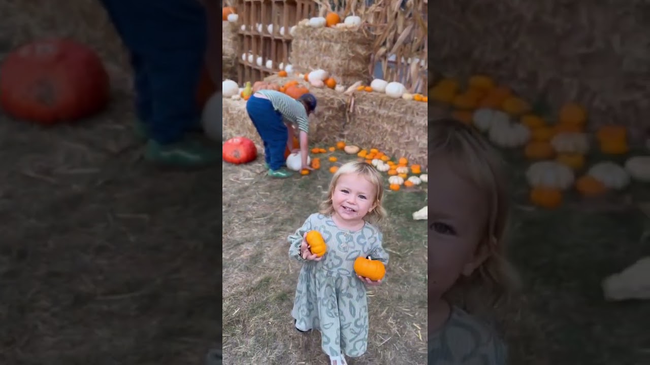 Day at the pumpkin patch
