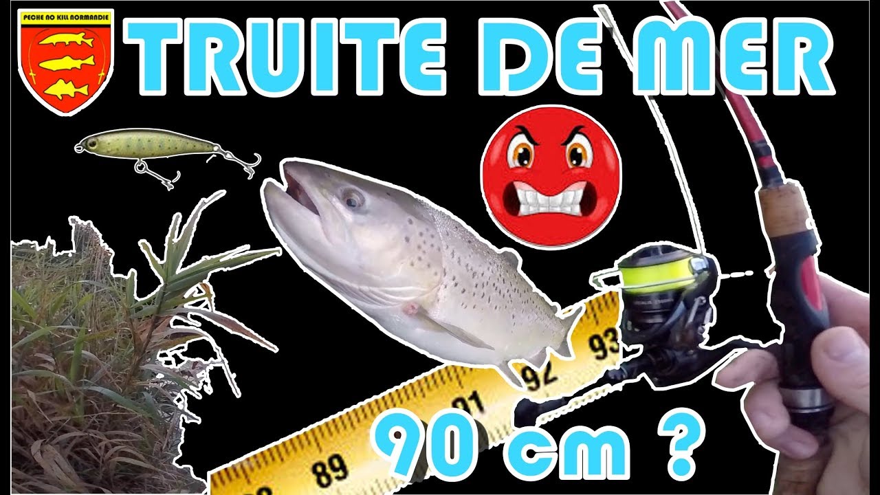 Leçon N°1 : comment décrocher bêtement une truite de mer de 90 + ????