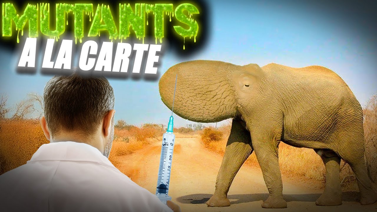 Ils ont fabriqu&eacute; DES MUTANTS