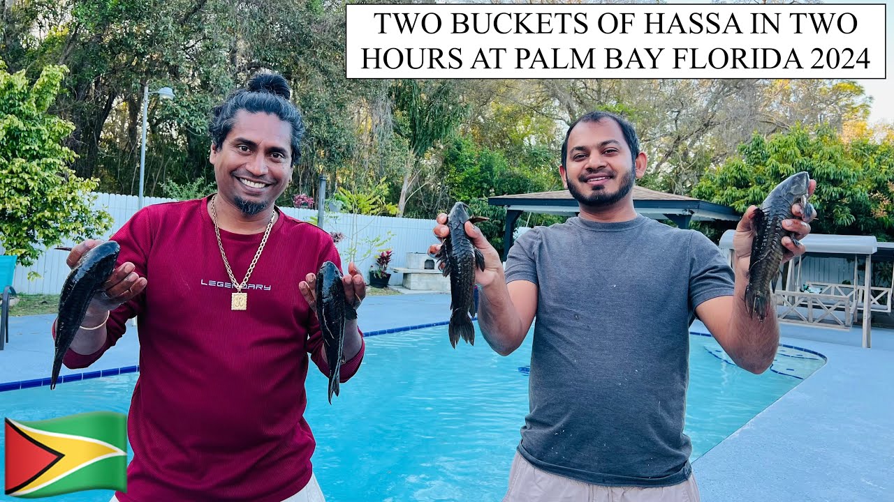 TWO BUCKETS OF HASSA IN TWO HOURS AT PALM BAY FLORIDA 2024