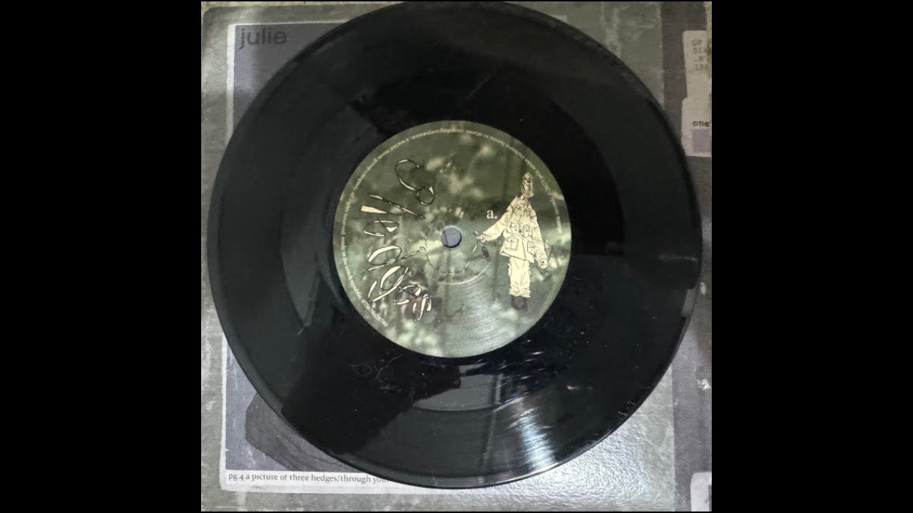 julie- pg.4 a picture of three hedges/through your window vinyl (FULL)