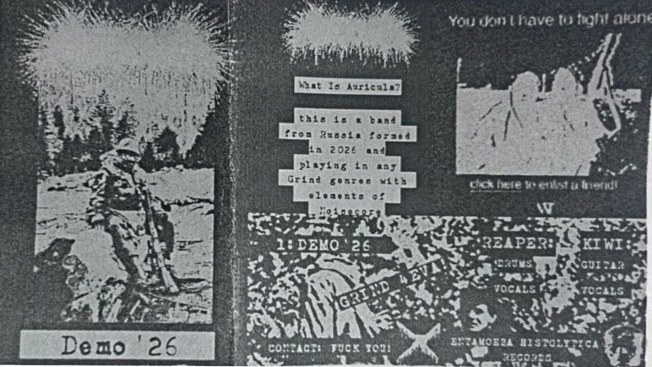 Auricula —  Demo '26 (2026) (MinceGore/GoreGrind)