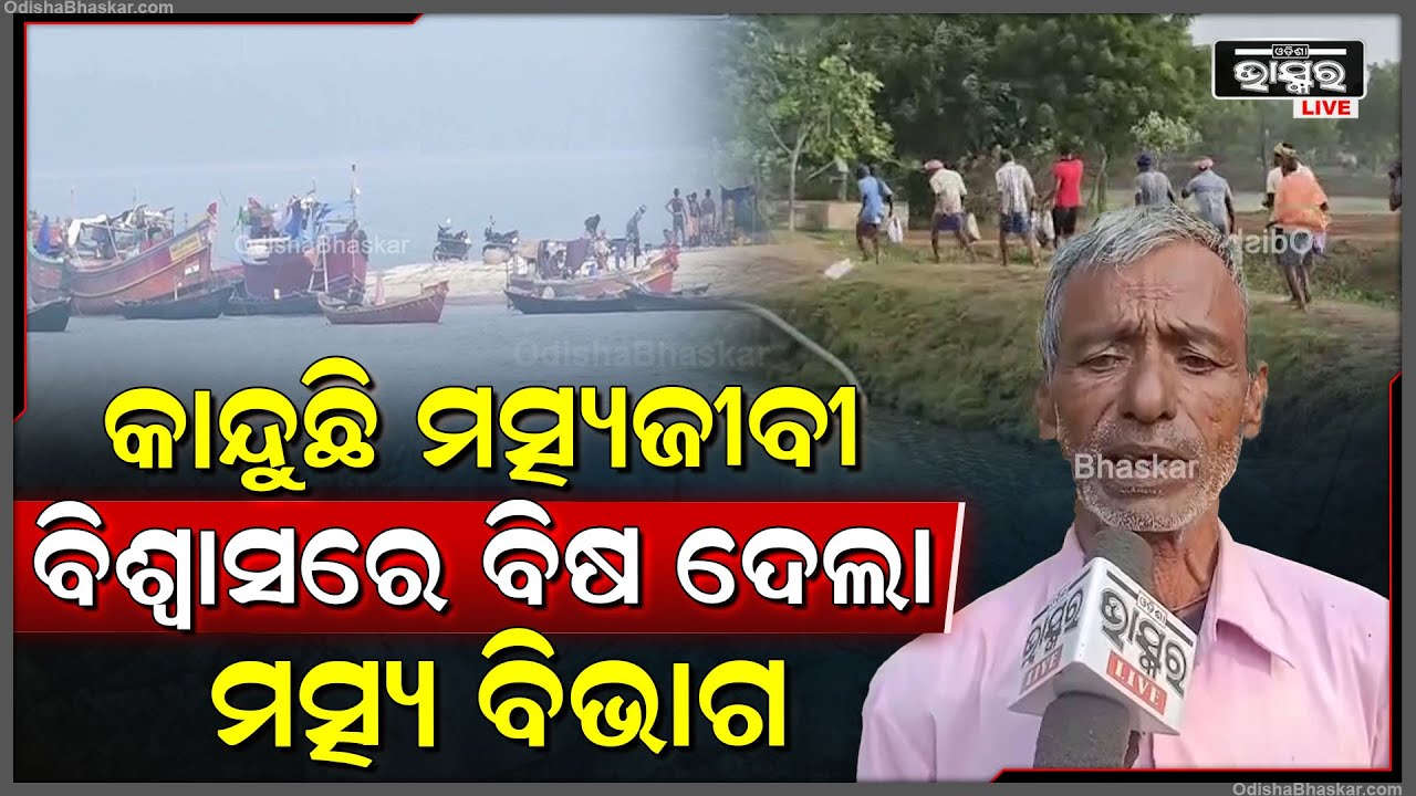 ମାଛ ଚାଷୀଙ୍କୁ ଠକିଦେଲା ସାମୁଦ୍ରିକ ମତ୍ସ୍ୟ ବିଭାଗ, କାନ୍ଦୁଛି ମତ୍ସ୍ୟଜୀବୀ, ବିଶ୍ୱାସରେ ବିଷ ଦେଲା ମତ୍ସ୍ୟ ବିଭାଗ...