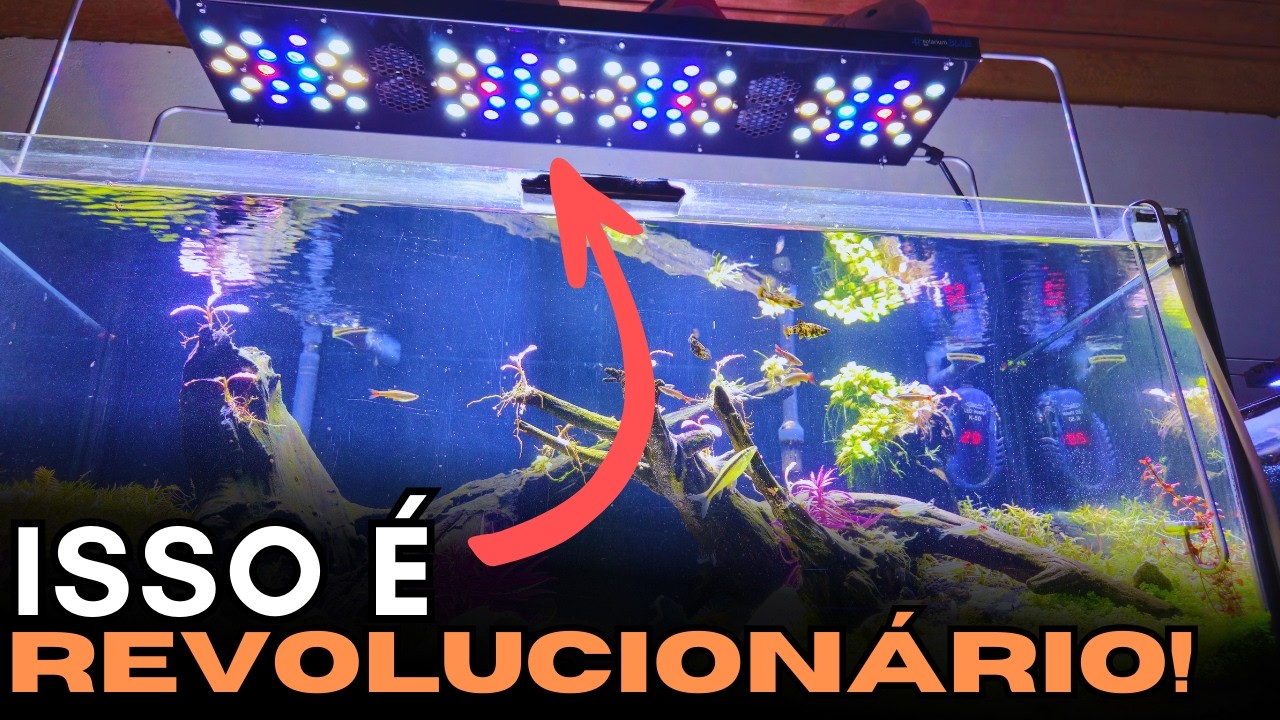 A MELHOR LUMINÁRIA PARA AQUÁRIOS? Review COMPLETO da Solarium Plant da Aqualumini!