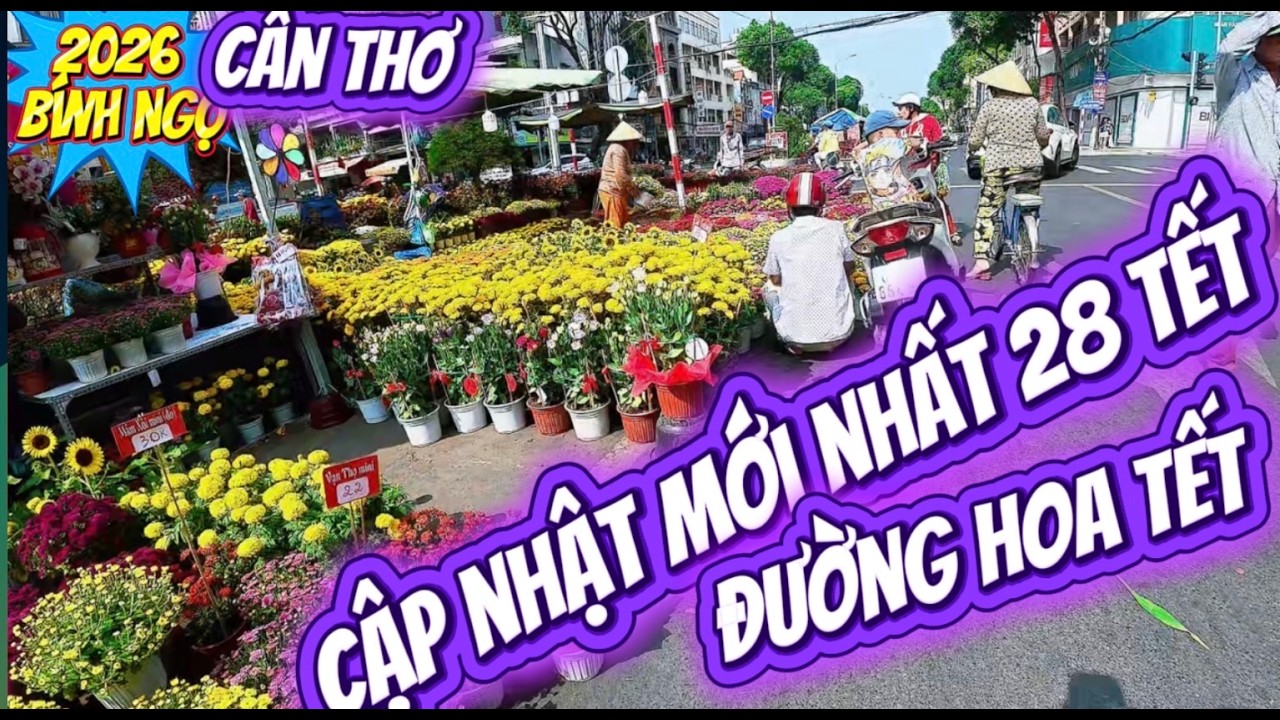 cập nhật mới trưa 28 tết đường hoa ninh kiều tết bính ngọ 2026