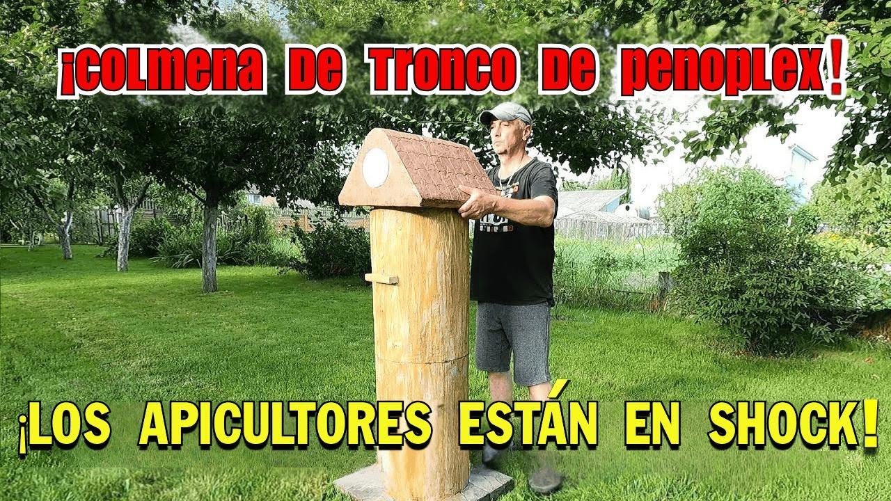 Cómo hacer tu propio panal y ganar dinero fácil con miel orgánica